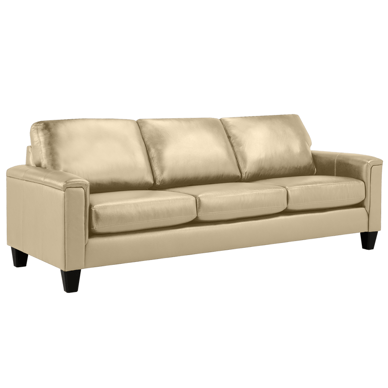 Benson Leather Sofa & Two Chair Set - Coja