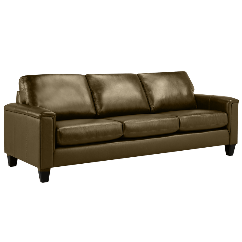 Benson Leather Sofa & Two Chair Set - Coja