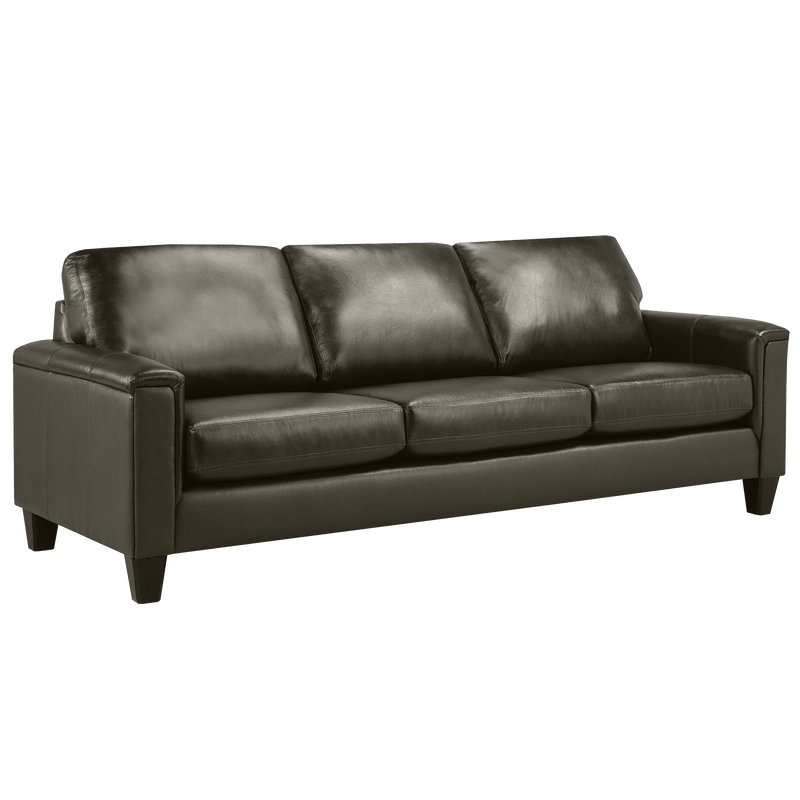 Benson Leather Sofa & Two Chair Set - Coja