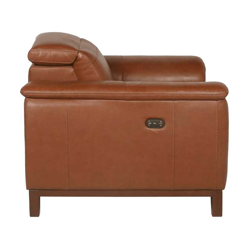 Benxi Dual Power Leather Recliner with Articulating Headrest, Brown