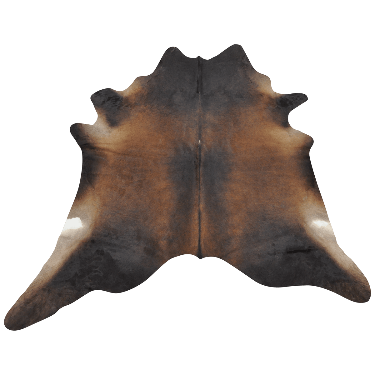 Brown Watusi Hair on Hide - Coja