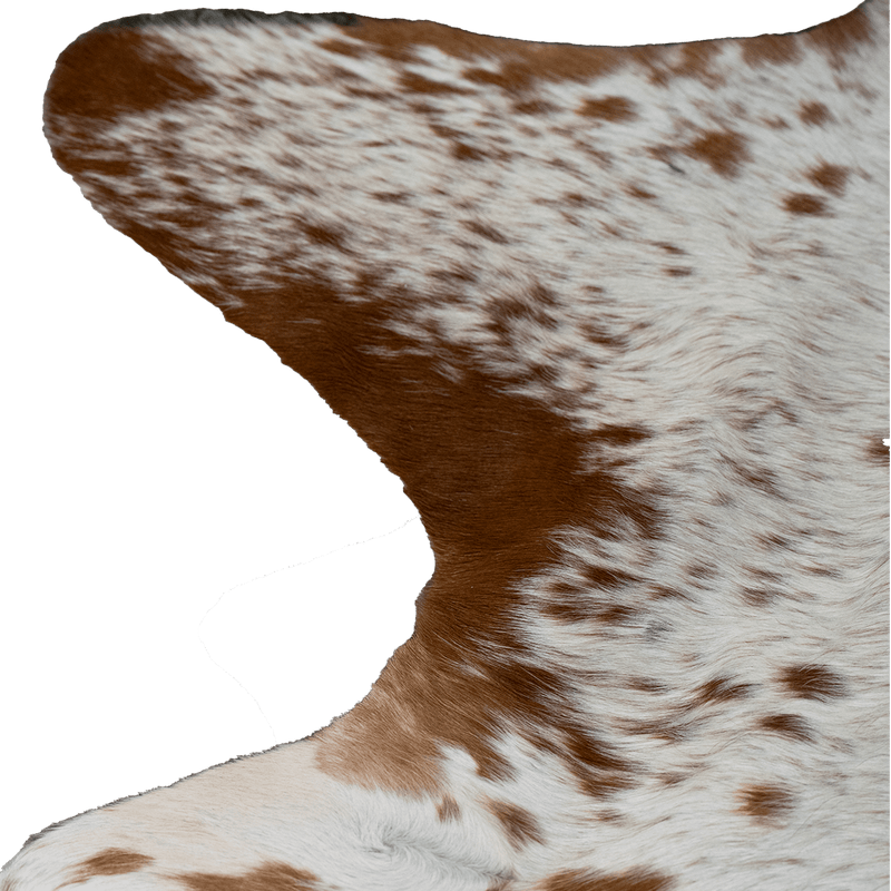 Brown and White Spotted Hair on Hide - Coja