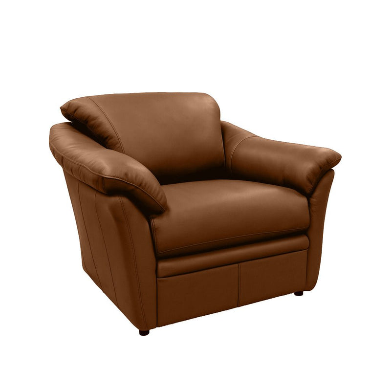 Benson Leather Chair - Coja