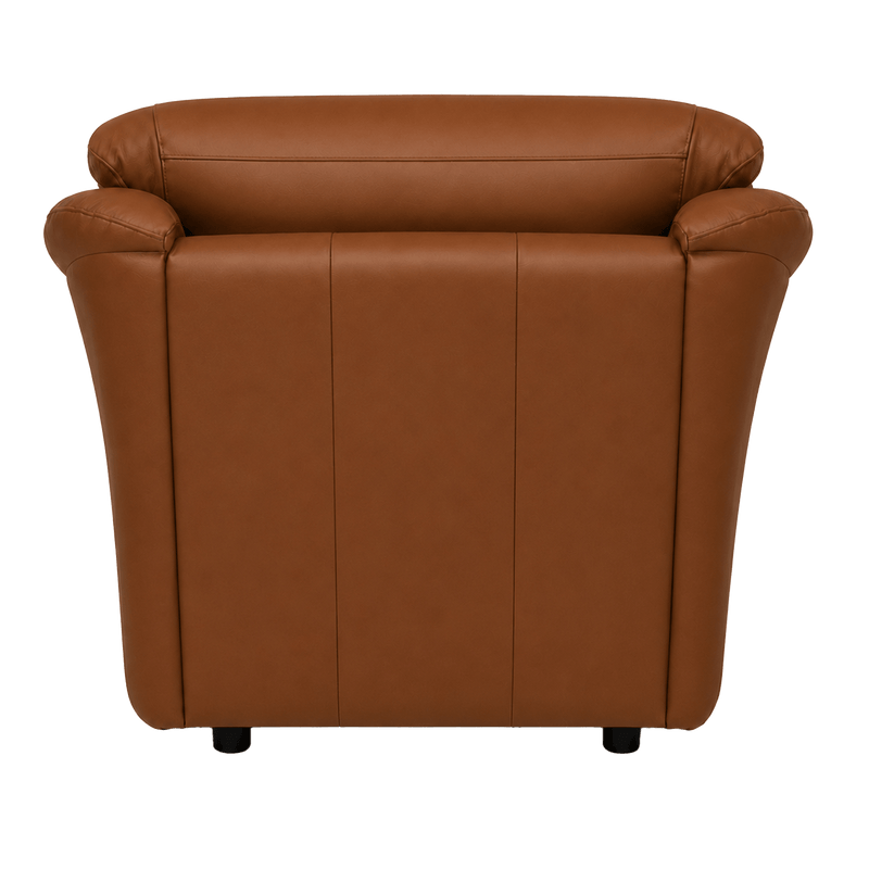 Lyons Leather Chair - Coja