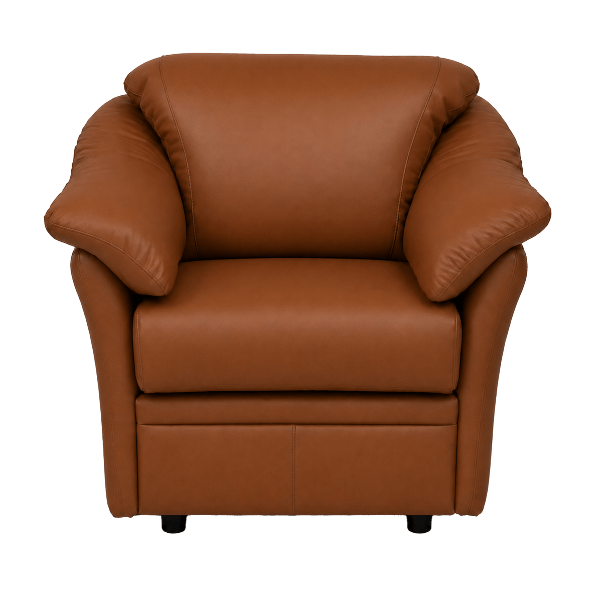 Lyons Leather Chair - Coja