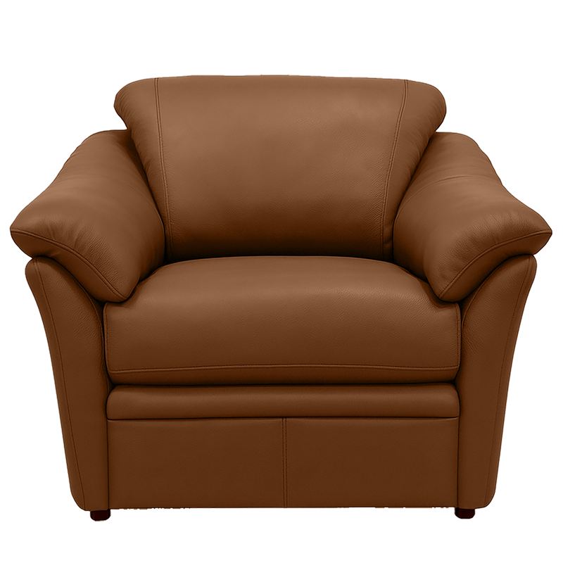 Lyons Leather Chair