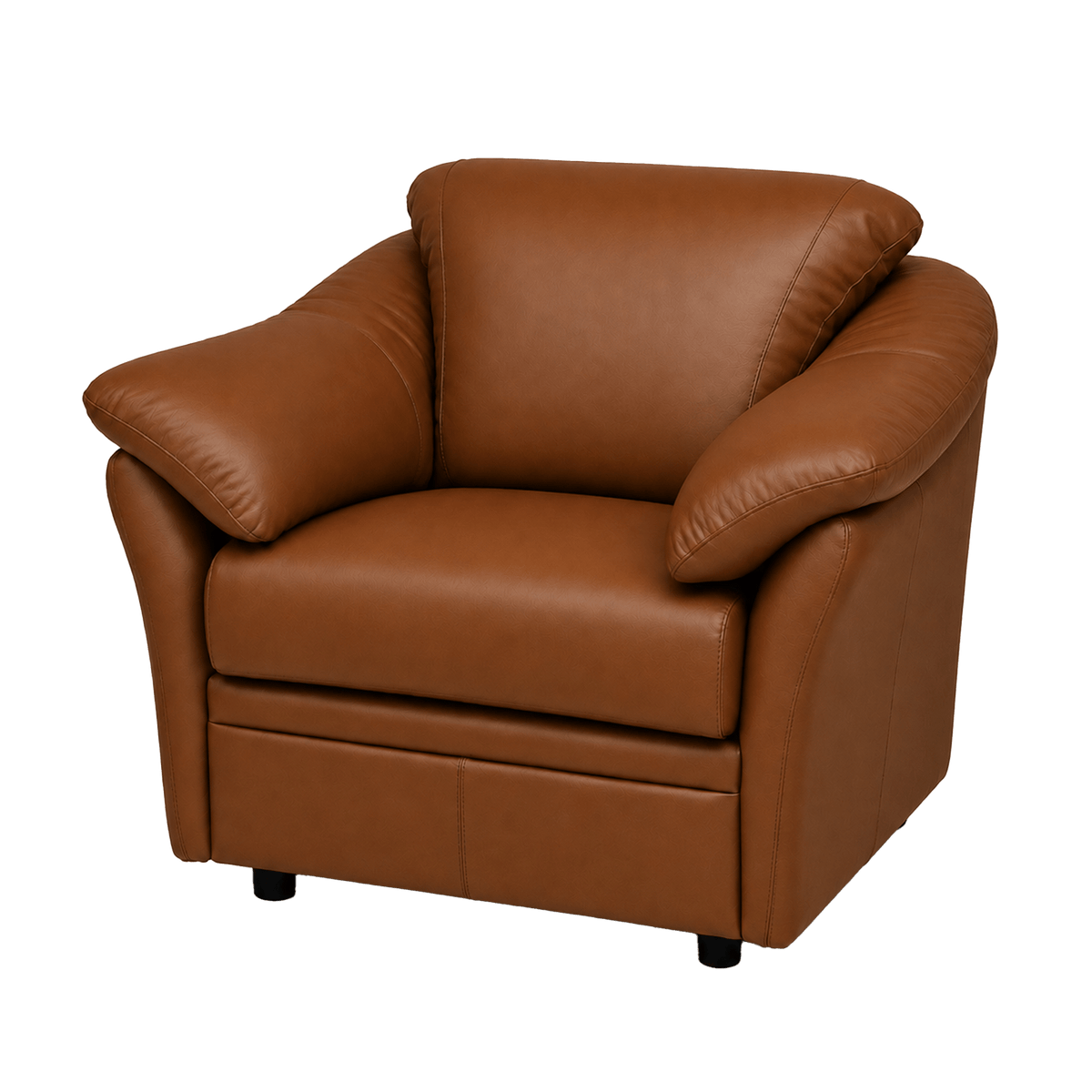 Lyons Leather Chair - Coja