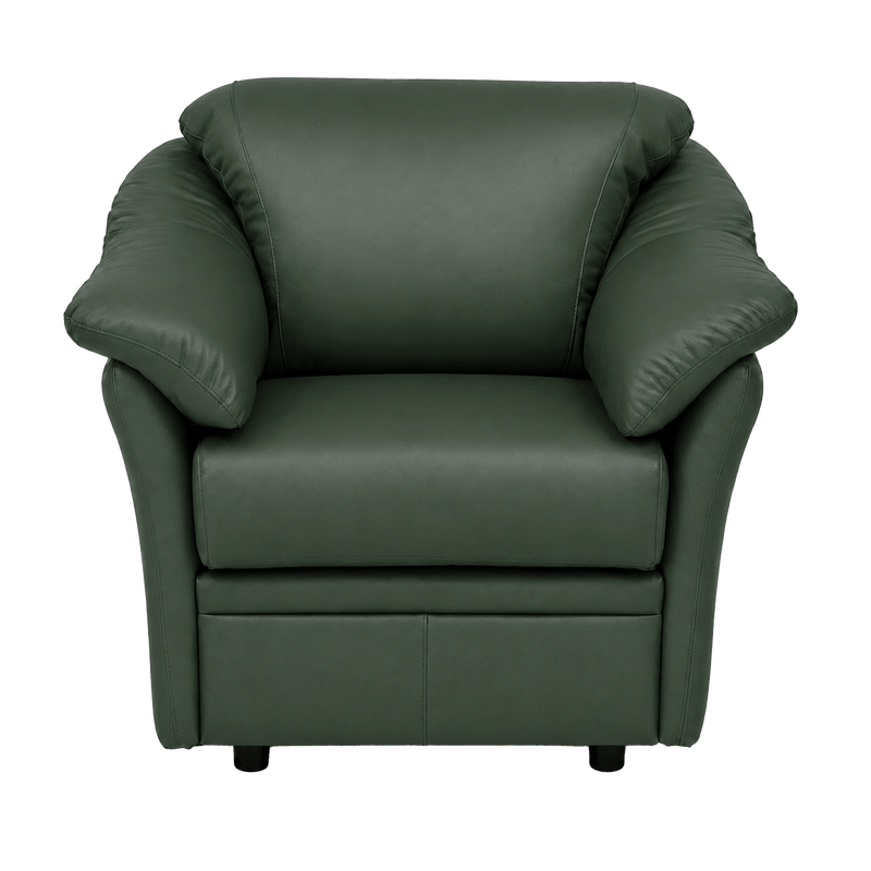 Lyons Leather Chair - Coja