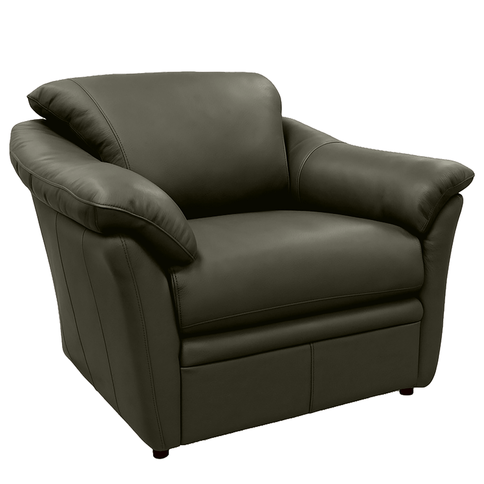 Lyons Leather Chair - Coja