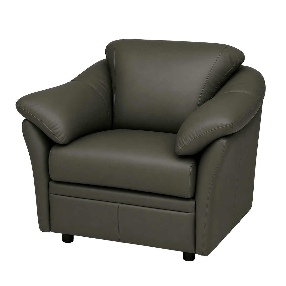 Lyons Leather Chair - Coja