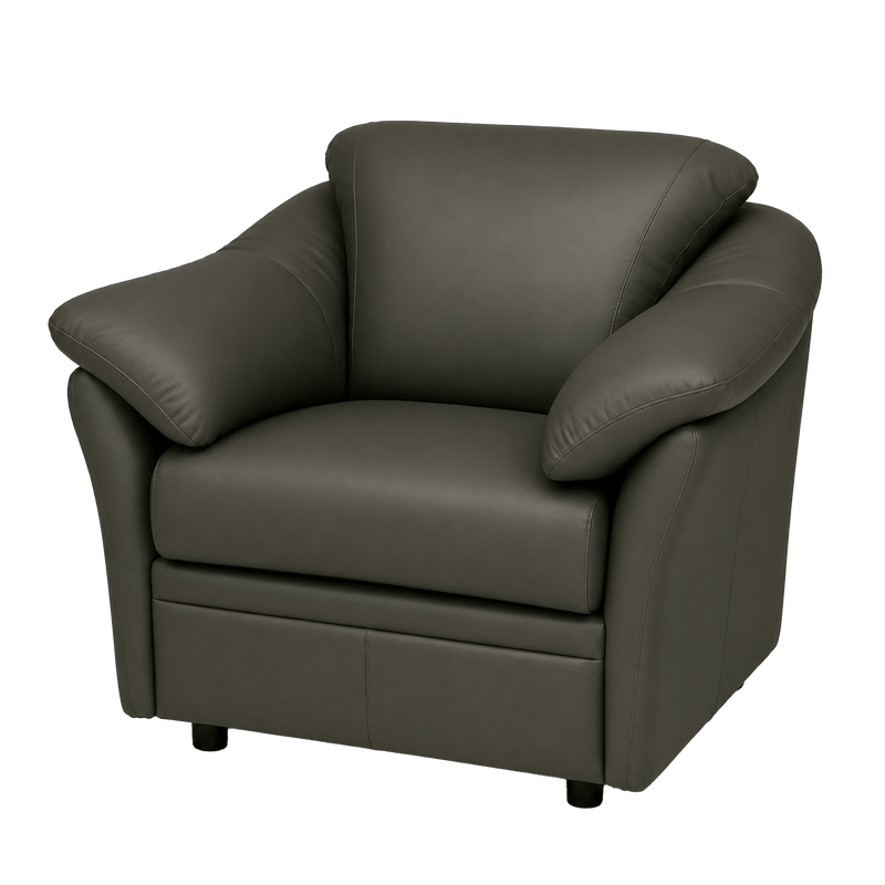 Lyons Leather Chair - Coja