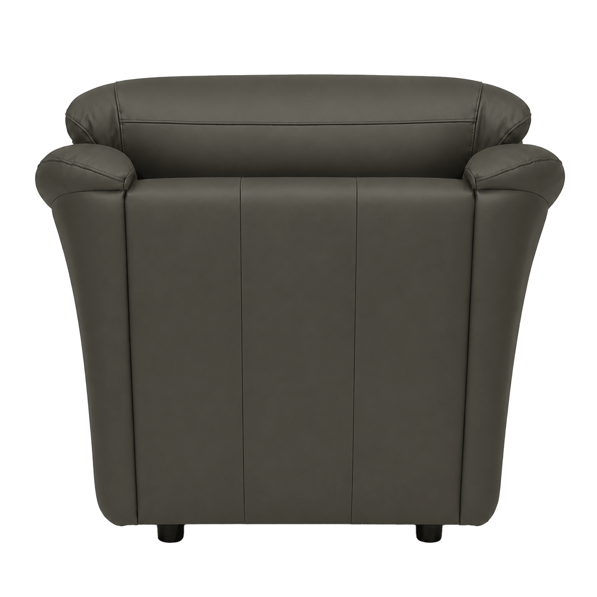Lyons Leather Chair - Coja