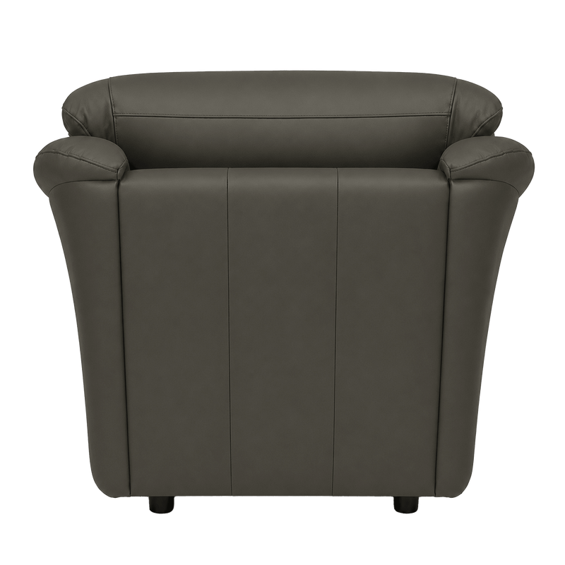 Lyons Leather Chair - Coja