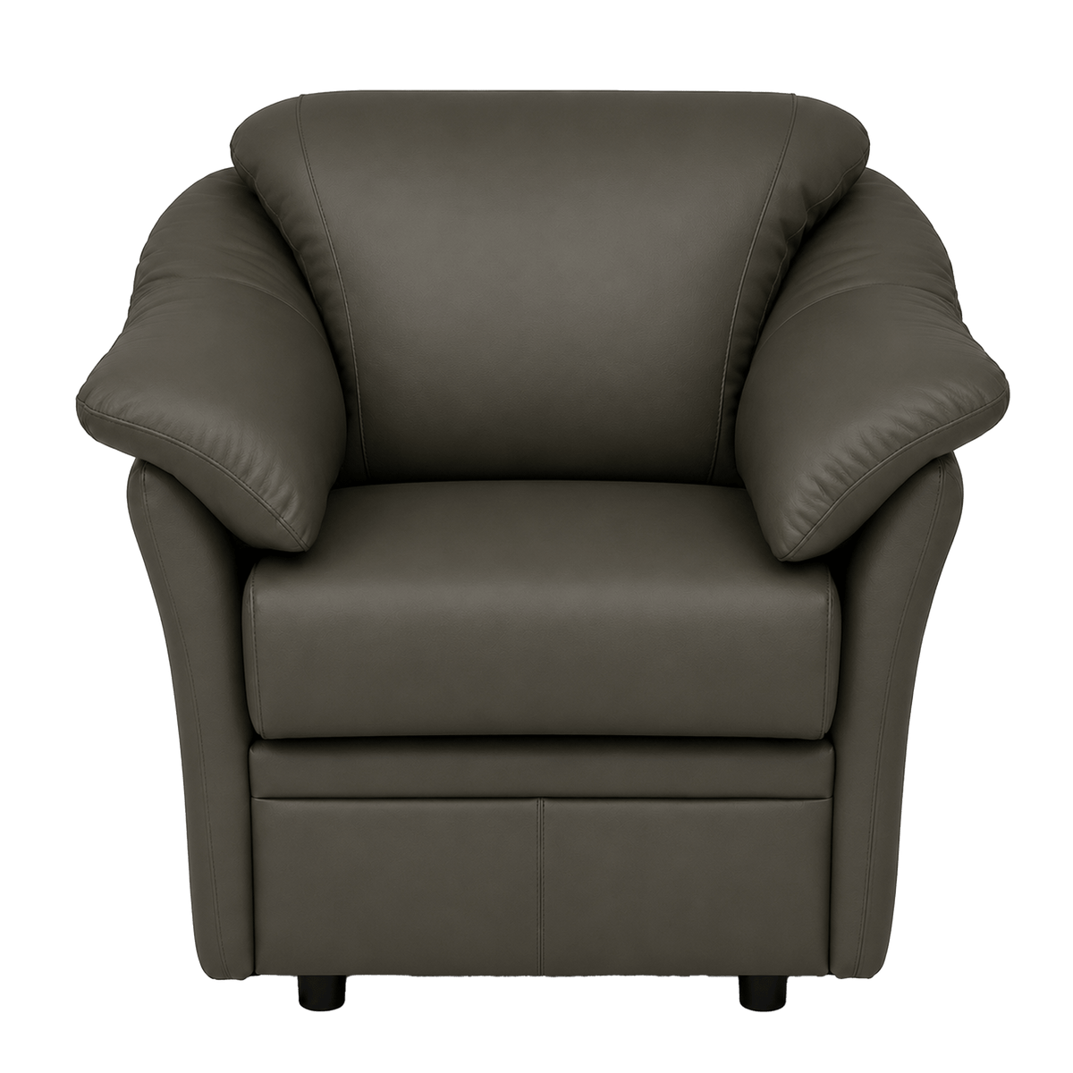 Lyons Leather Chair - Coja