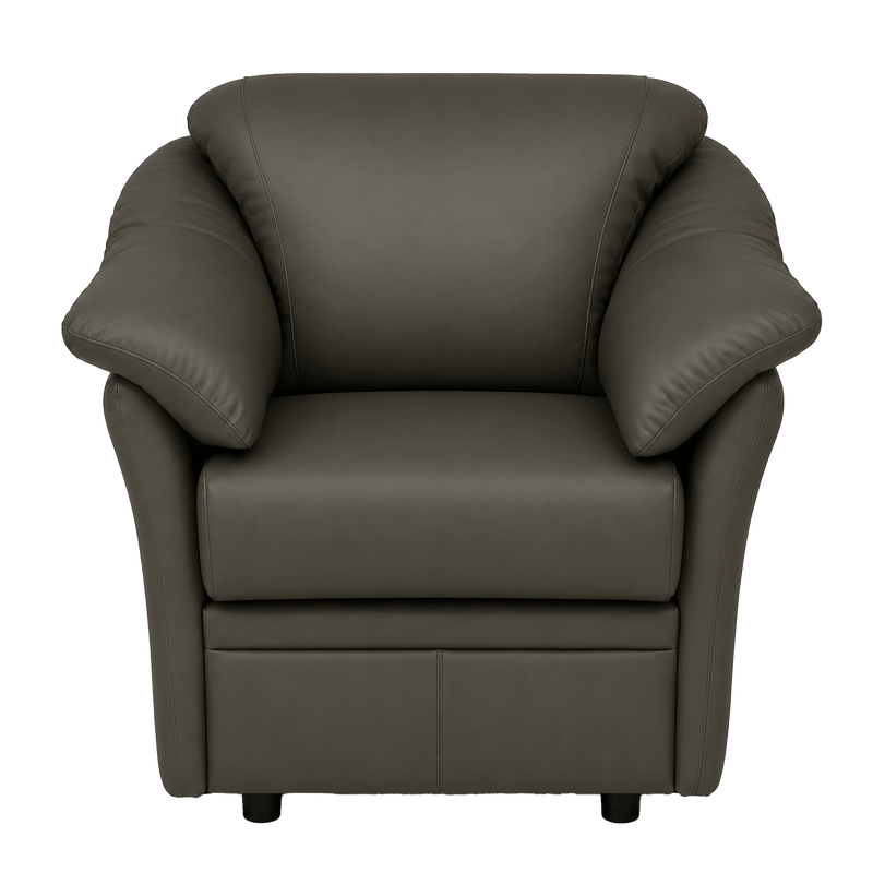 Lyons Leather Chair - Coja
