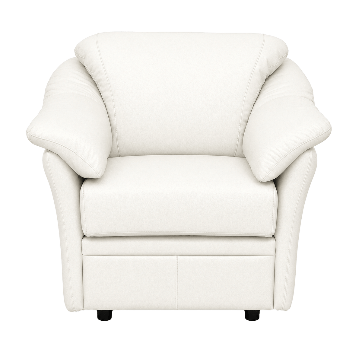Lyons Leather Chair - Coja