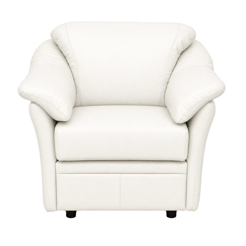 Lyons Leather Chair - Coja
