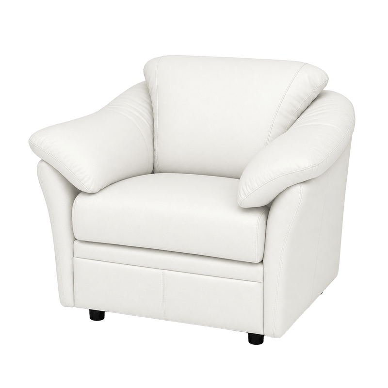 Lyons Leather Chair - Coja