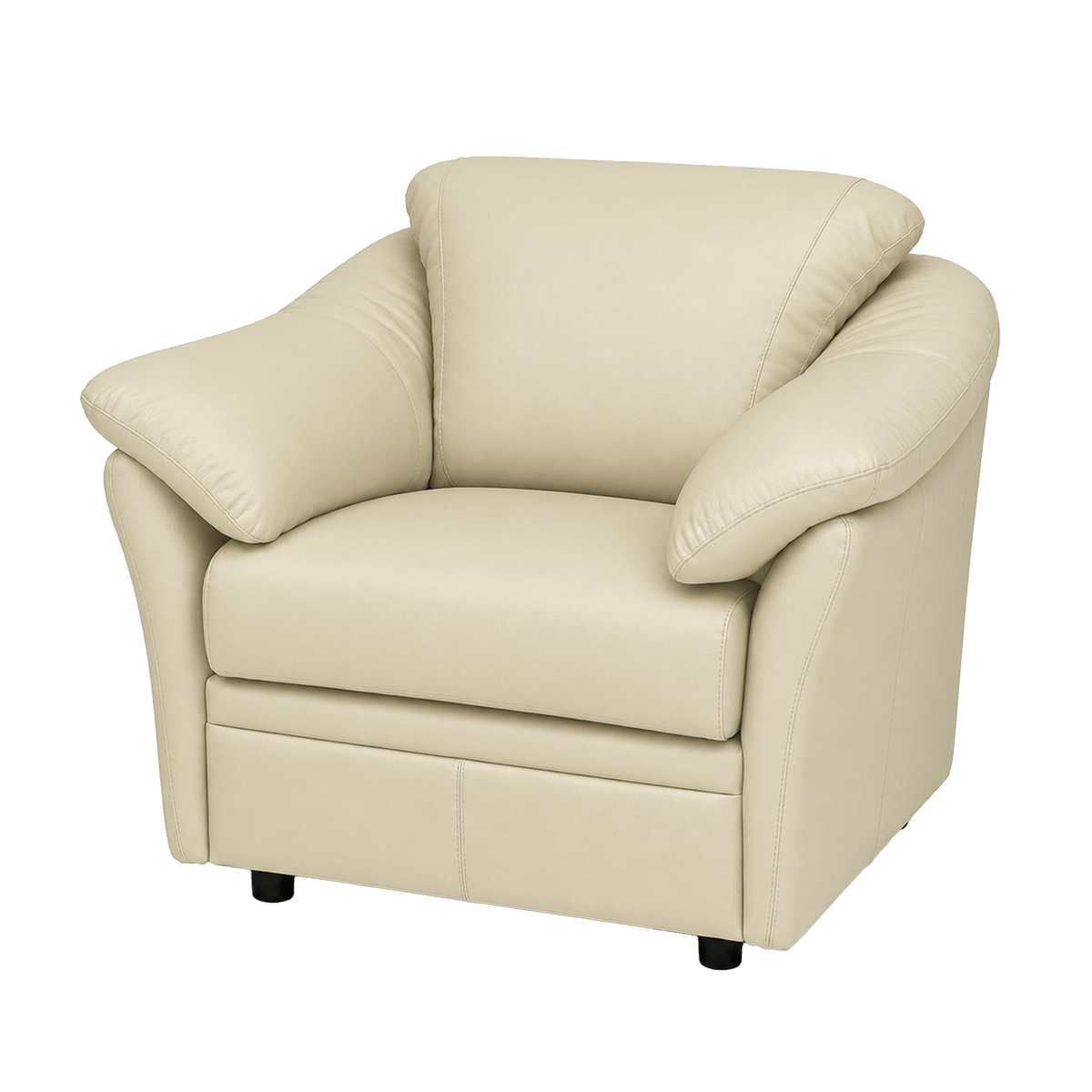 Lyons Leather Chair - Coja