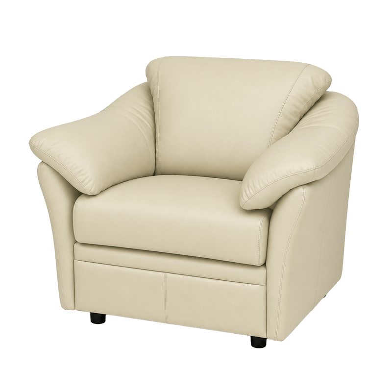 Lyons Leather Chair - Coja