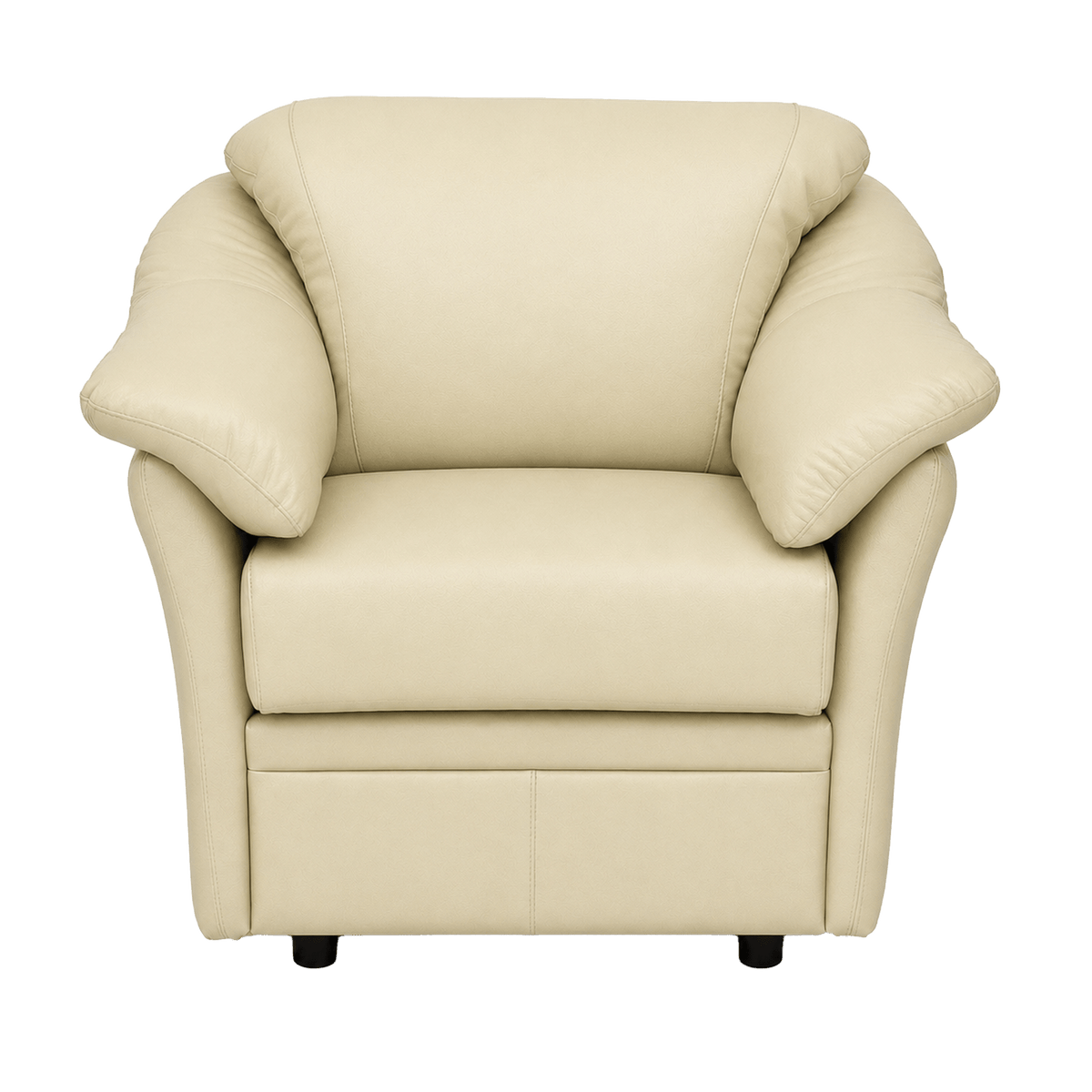 Lyons Leather Chair - Coja