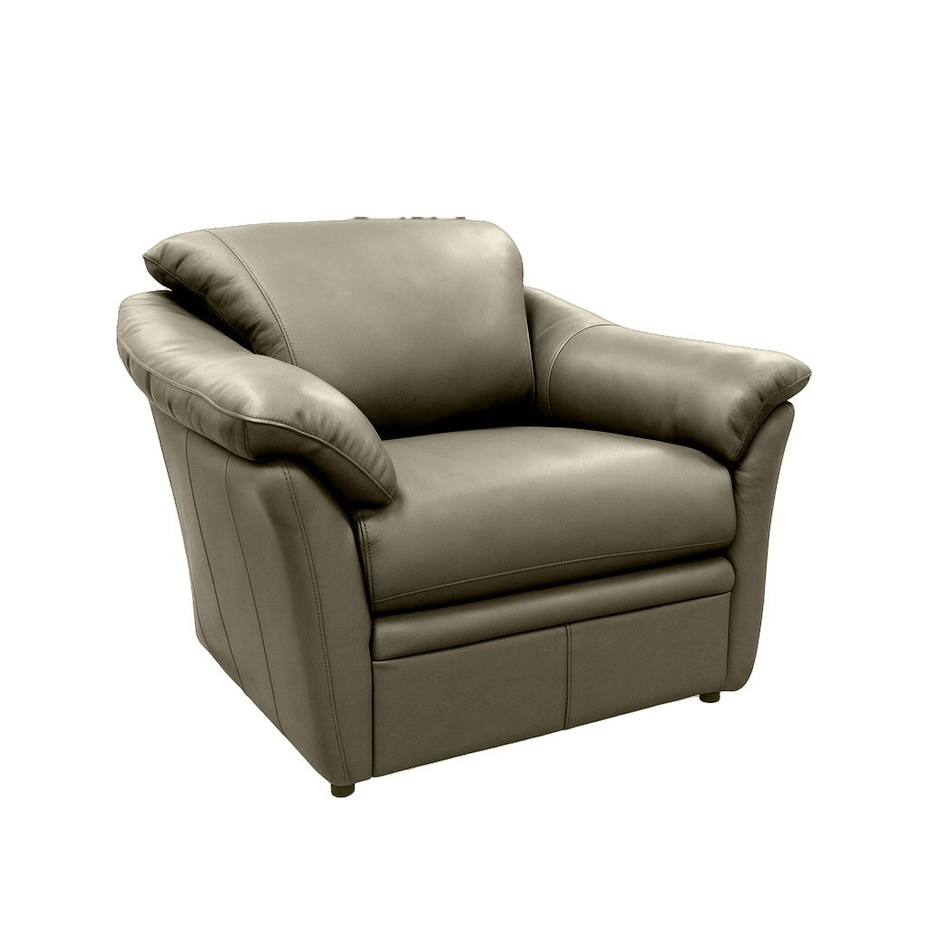 Benson Leather Chair - Coja