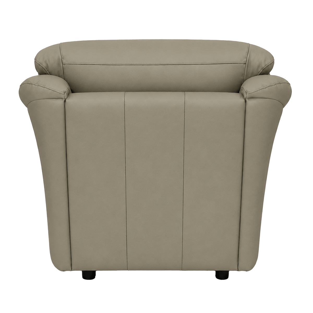 Lyons Leather Chair - Coja