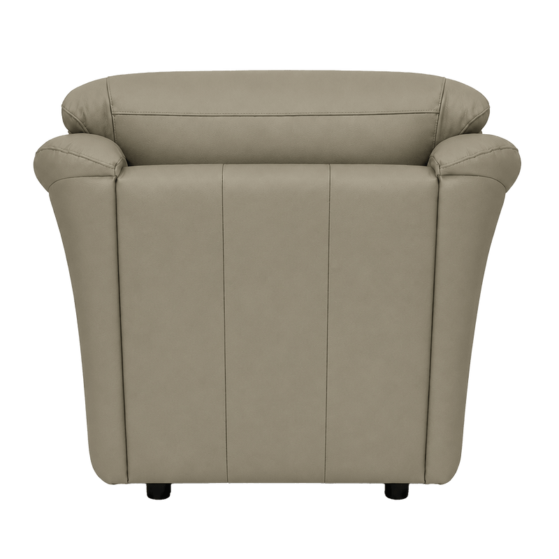 Lyons Leather Chair - Coja