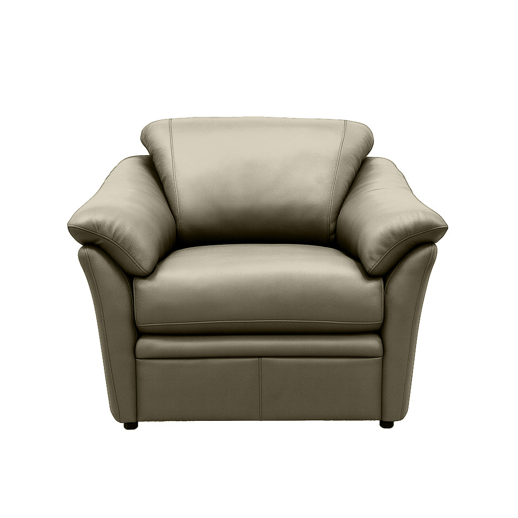 Benson Leather Chair - Coja