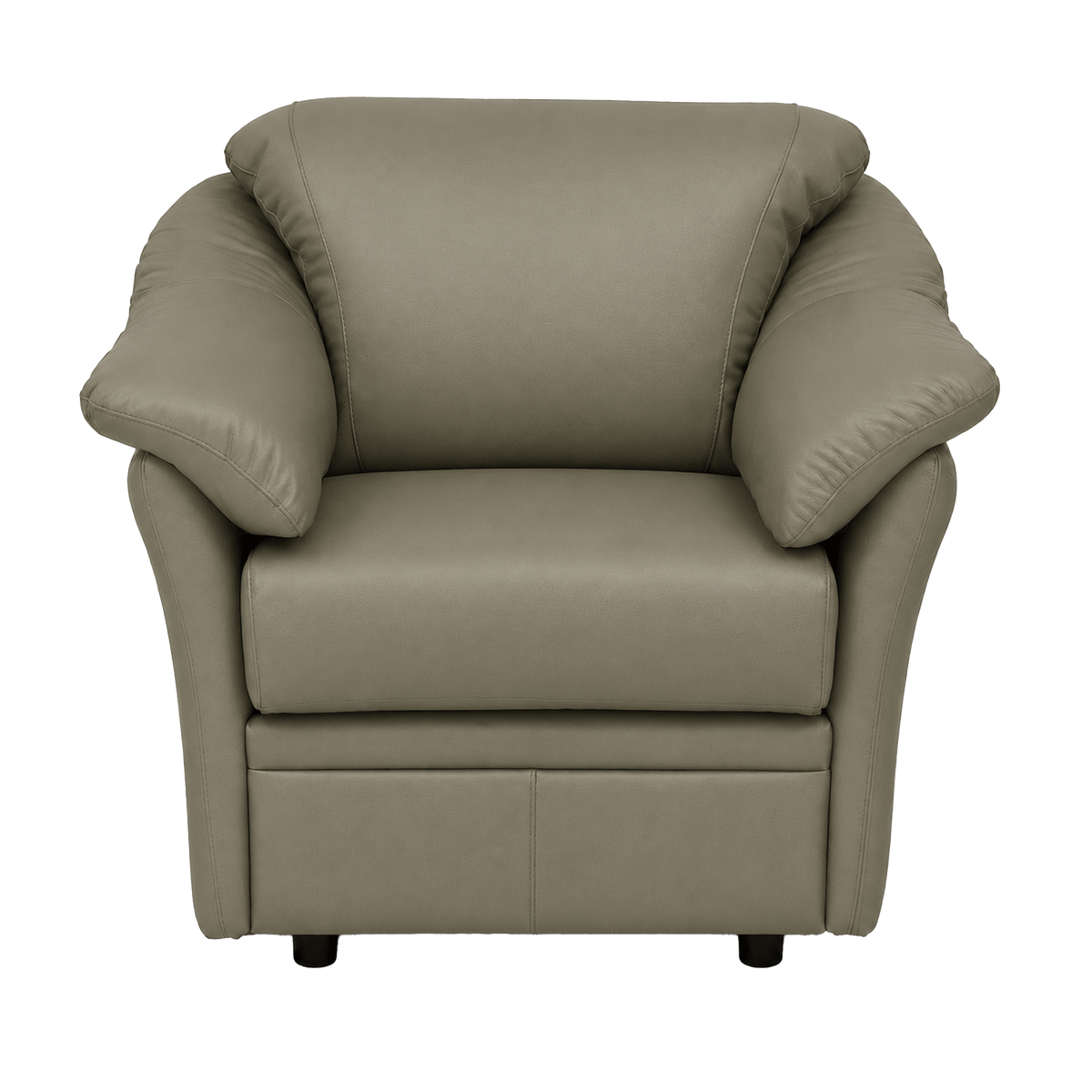 Lyons Leather Chair - Coja
