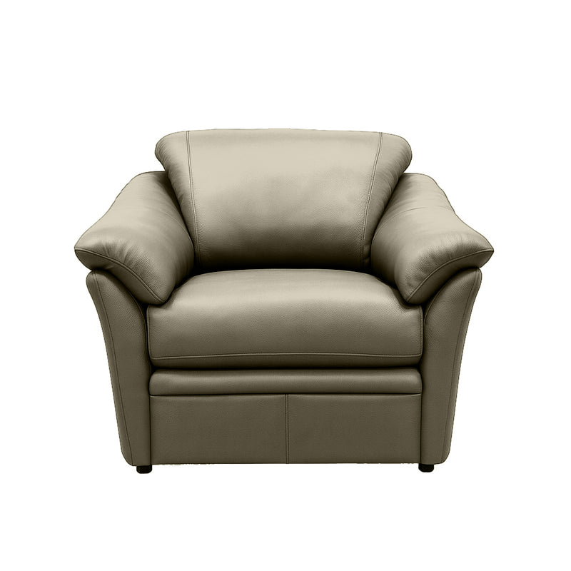 Benson Leather Chair - Coja