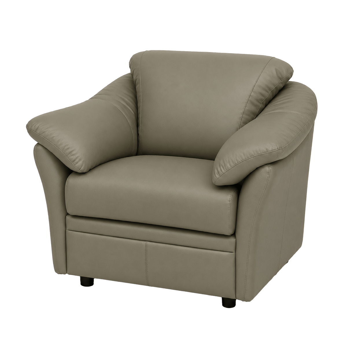 Lyons Leather Chair - Coja