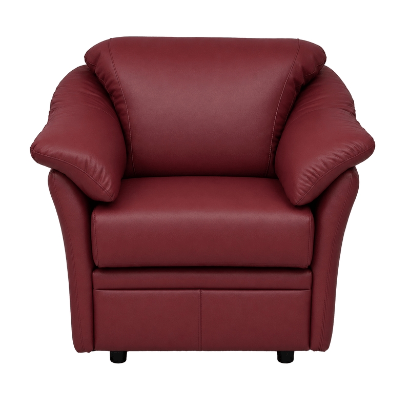 Lyons Leather Chair - Coja