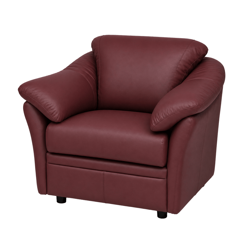 Lyons Leather Chair - Coja
