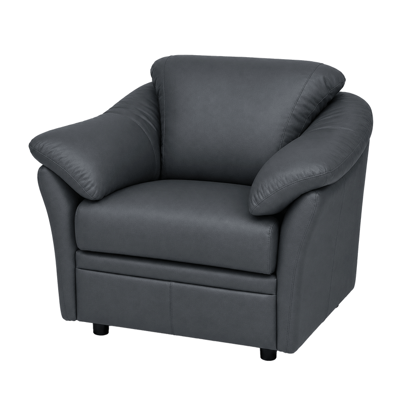 Lyons Leather Chair - Coja