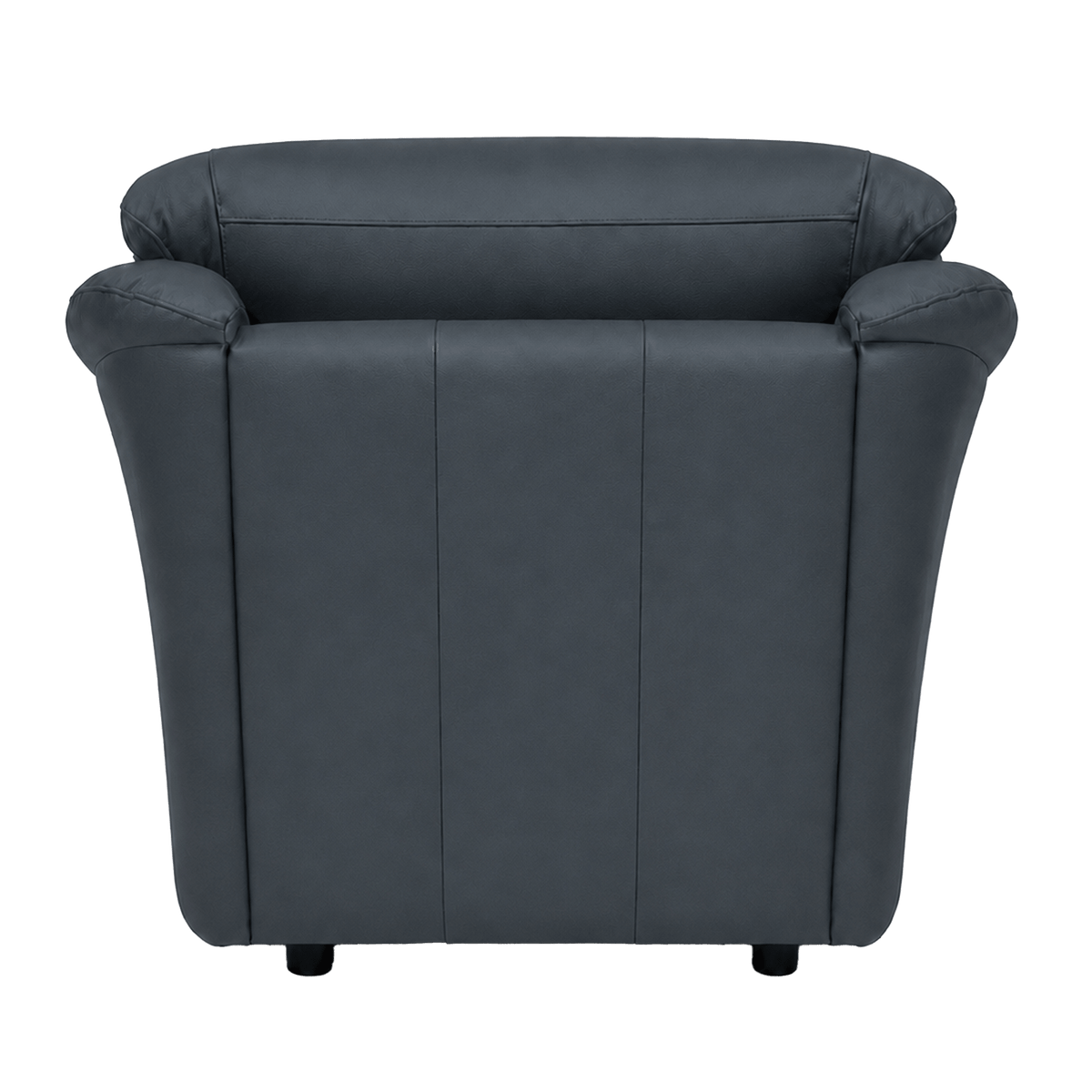 Lyons Leather Chair - Coja