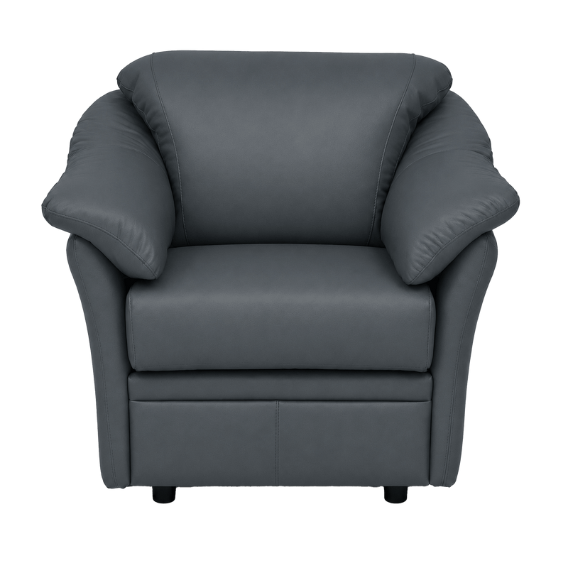 Lyons Leather Chair - Coja