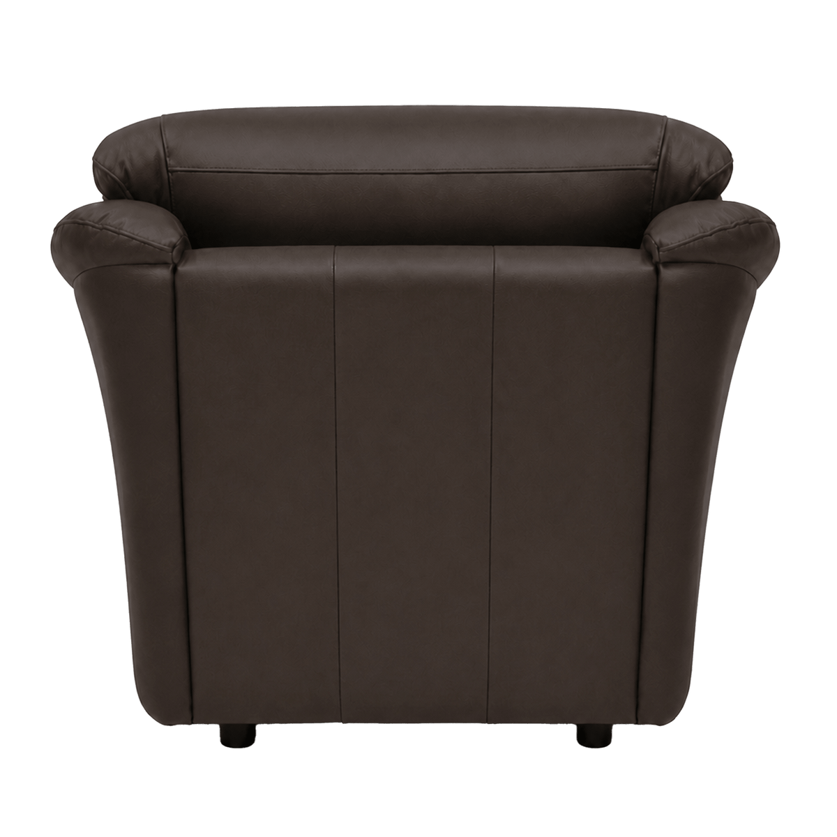 Lyons Leather Chair - Coja
