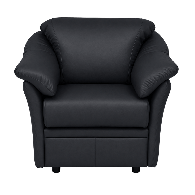 Lyons Leather Chair - Coja
