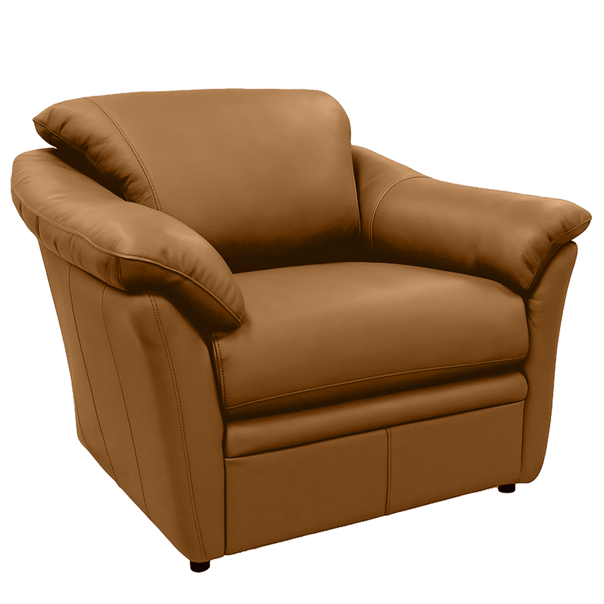 Lyons Leather Chair