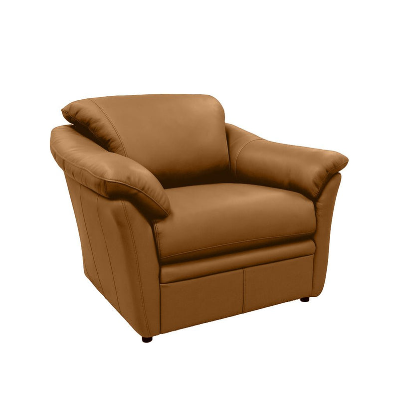 Benson Leather Chair - Coja
