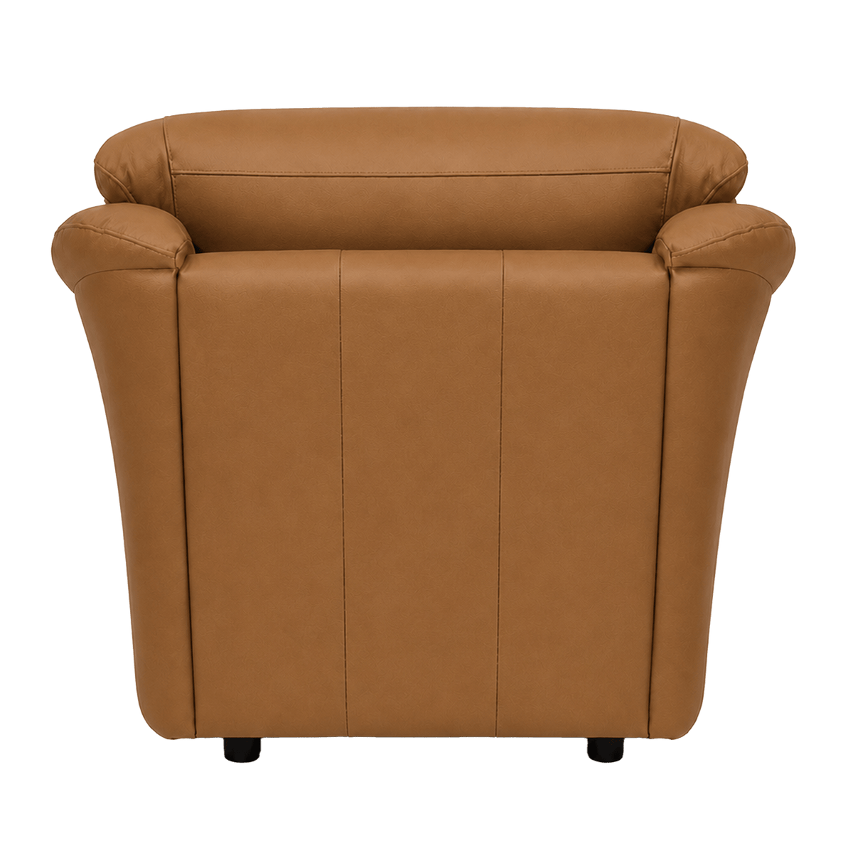 Lyons Leather Chair - Coja