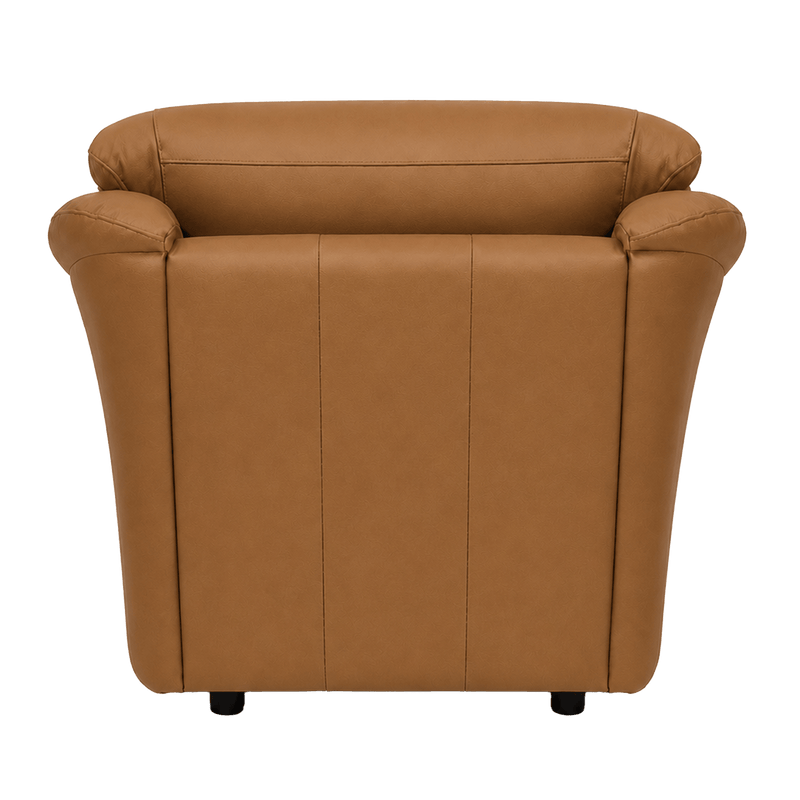 Lyons Leather Chair - Coja