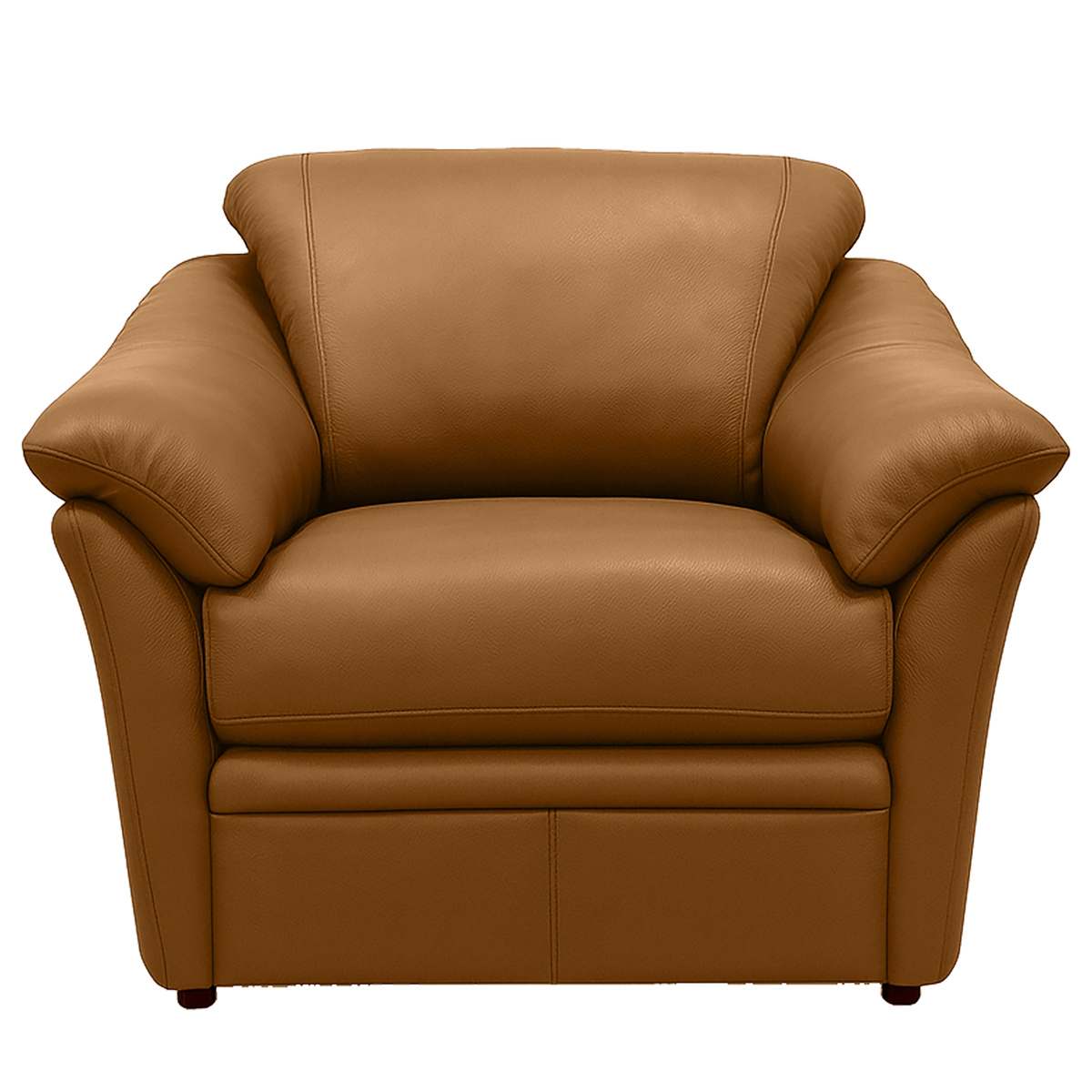 Lyons Leather Chair