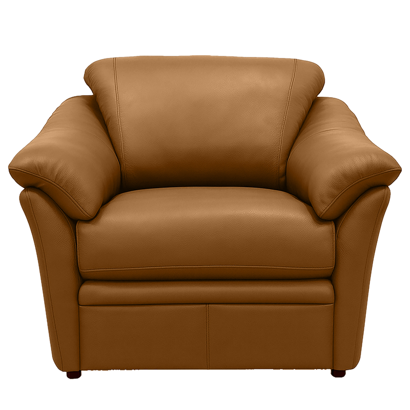 Lyons Leather Chair