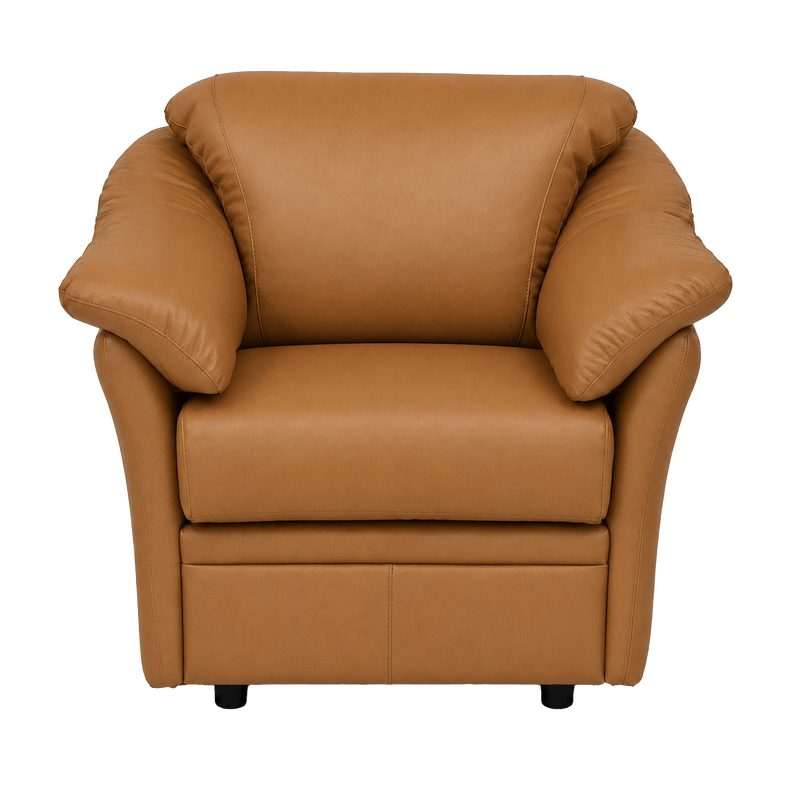Lyons Leather Chair - Coja
