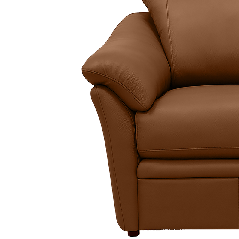 Lyons Leather Sofa Sleeper