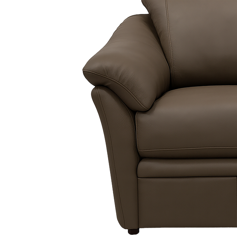 Lyons Leather Sofa Sleeper