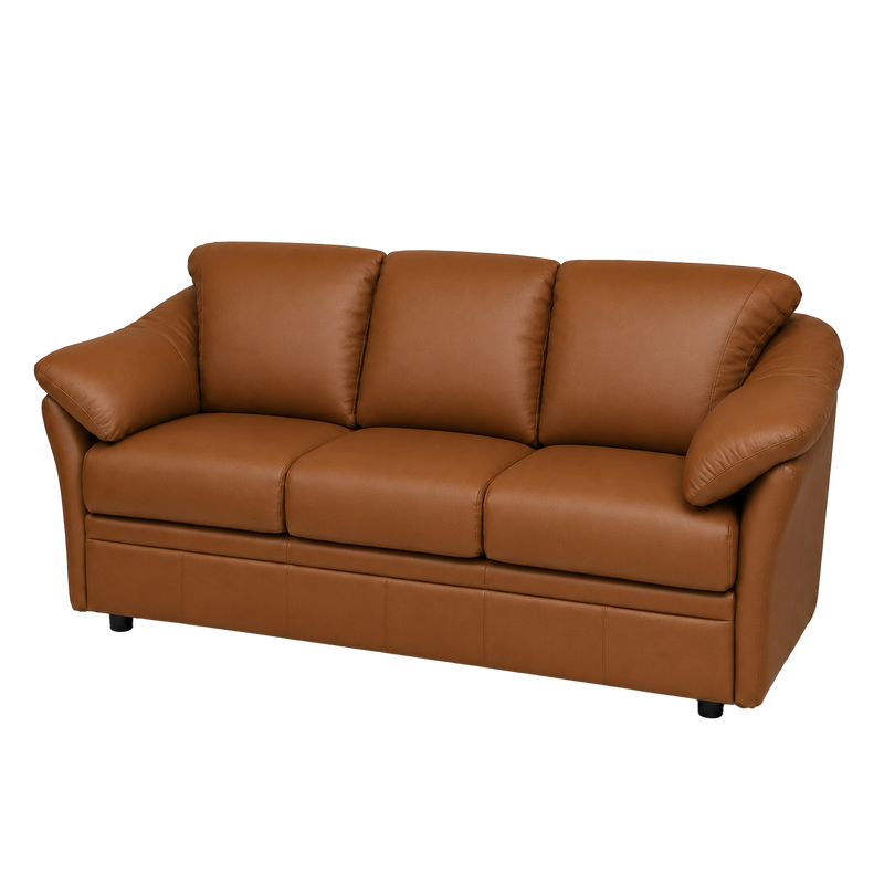 Lyons Leather Sofa Sleeper