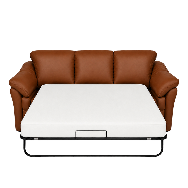 Lyons Leather Sofa Sleeper